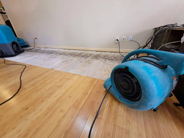Professional Flood Damage Cleanup technician working in Pima, AZ